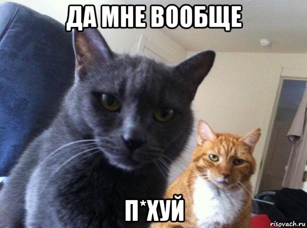 да мне вообще п*хуй, Мем  Два котэ