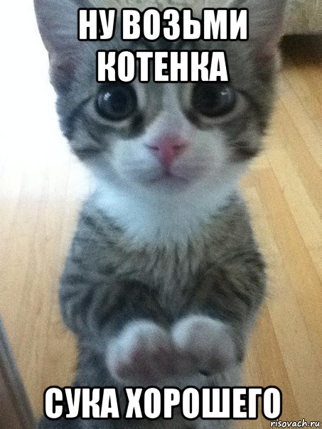 ну возьми котенка сука хорошего