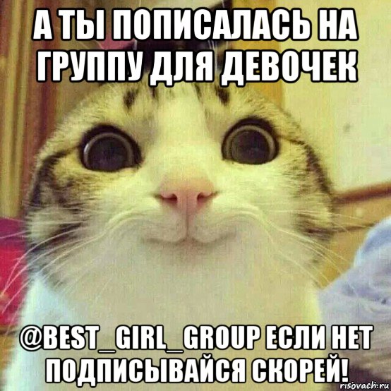 а ты пописалась на группу для девочек @best_girl_group если нет подписывайся скорей!, Мем       Котяка-улыбака