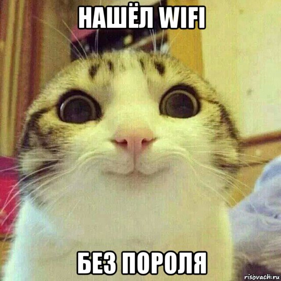 нашёл wifi без пороля, Мем       Котяка-улыбака