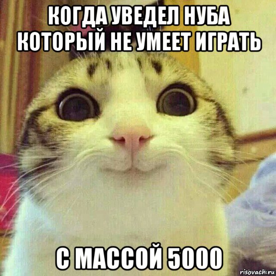 когда уведел нуба который не умеет играть с массой 5000, Мем       Котяка-улыбака