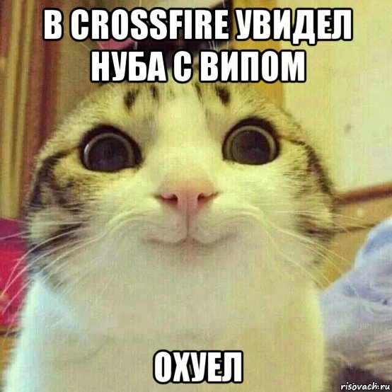 в crossfire увидел нуба с випом охуел, Мем       Котяка-улыбака