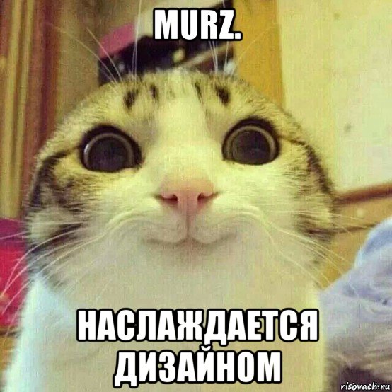 murz. наслаждается дизайном, Мем       Котяка-улыбака