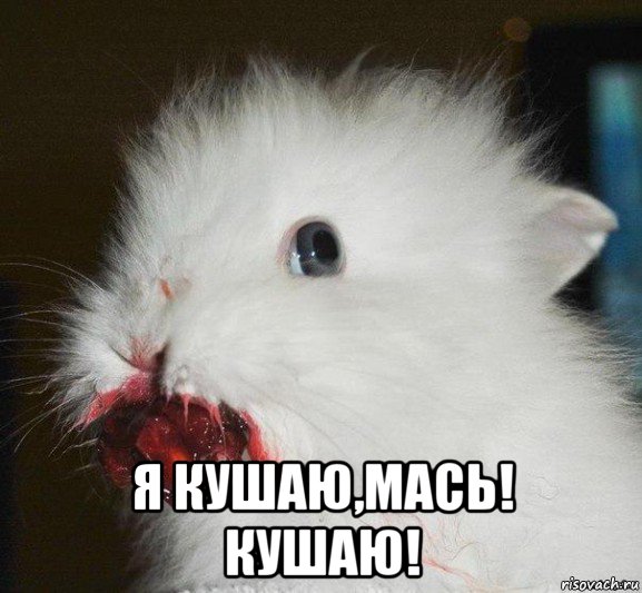  я кушаю,мась! кушаю!