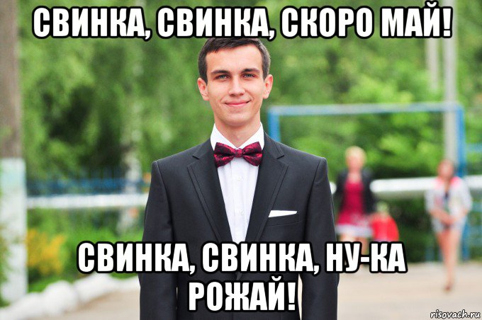 свинка, свинка, скоро май! свинка, свинка, ну-ка рожай!