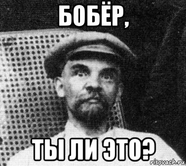 бобёр, ты ли это?