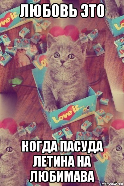 любовь это когда пасуда летина на любимава