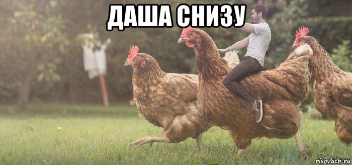 даша снизу 