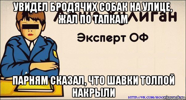 увидел бродячих собак на улице, жал по тапкам парням сказал, что шавки толпой накрыли