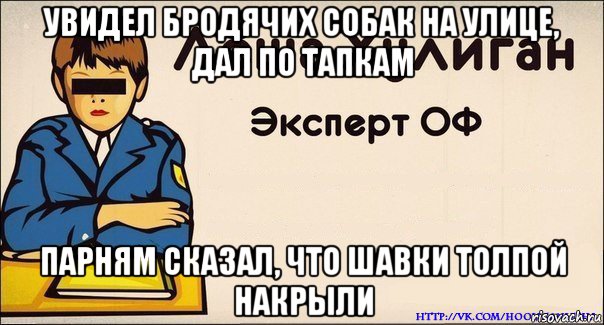 увидел бродячих собак на улице, дал по тапкам парням сказал, что шавки толпой накрыли