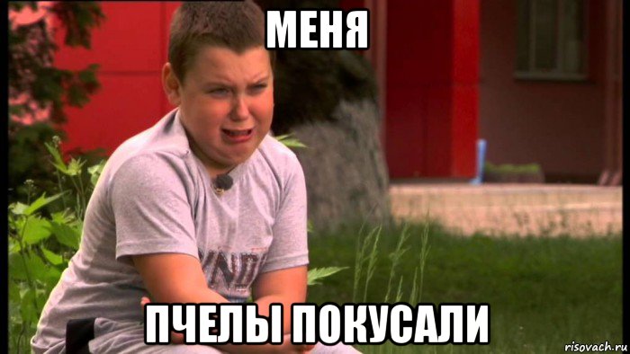 меня пчелы покусали, Мем Мем Тиницький