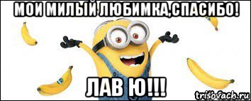 мои милый любимка,спасибо! лав ю!!!, Мем миньон