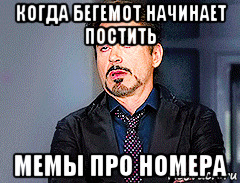 когда бегемот начинает постить мемы про номера