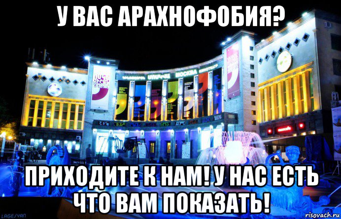 у вас арахнофобия? приходите к нам! у нас есть что вам показать!