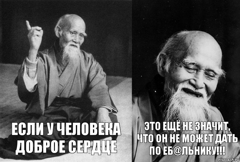 ЕСЛИ У ЧЕЛОВЕКА ДОБРОЕ СЕРДЦЕ ЭТО ЕЩЁ НЕ ЗНАЧИТ, ЧТО ОН НЕ МОЖЕТ ДАТЬ ПО ЕБ@ЛЬНИКУ!!!, Комикс Мудрец-монах (2 зоны)