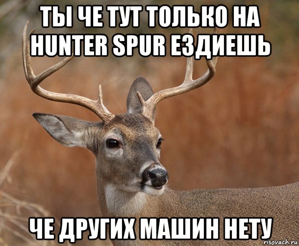 ты че тут только на hunter spur ездиешь че других машин нету, Мем  Наивный Олень v2