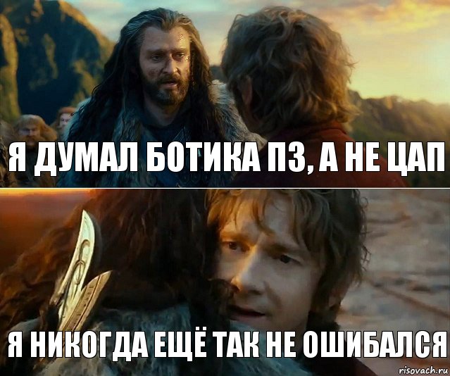 Я думал ботика ПЗ, а не ЦАП Я никогда ещё так не ошибался, Комикс Я никогда еще так не ошибался