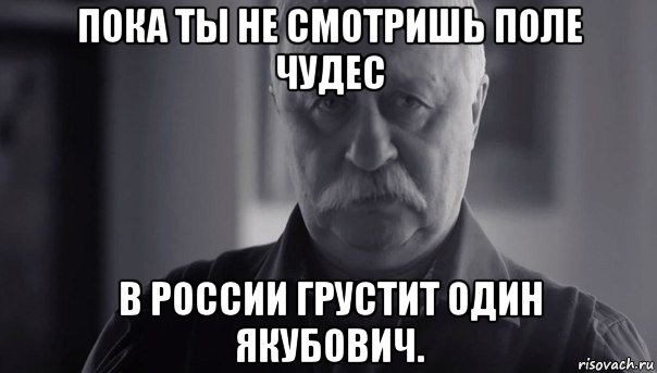 пока ты не смотришь поле чудес в россии грустит один якубович., Мем Не огорчай Леонида Аркадьевича