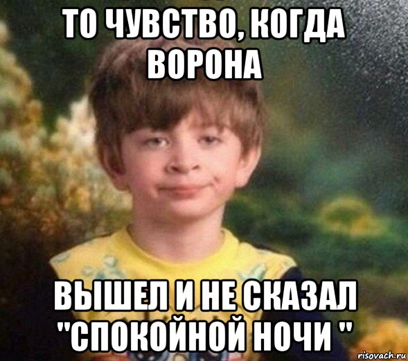 то чувство, когда ворона вышел и не сказал "спокойной ночи ", Мем Недовольный пацан