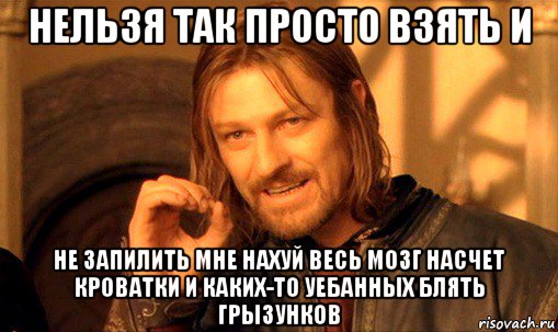 нельзя так просто взять и не запилить мне нахуй весь мозг насчет кроватки и каких-то уебанных блять грызунков, Мем Нельзя просто так взять и (Боромир мем)