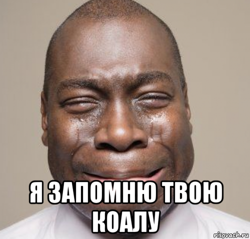  я запомню твою коалу