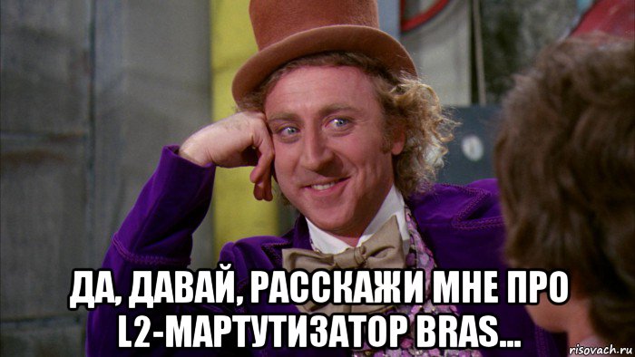  да, давай, расскажи мне про l2-мартутизатор bras..., Мем Ну давай расскажи (Вилли Вонка)