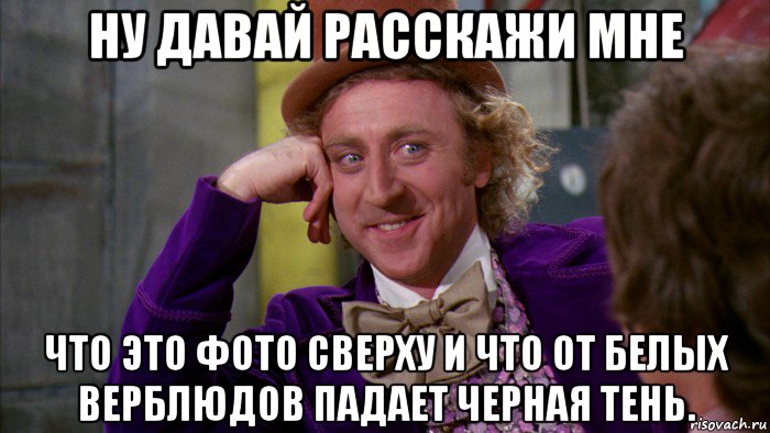 ну давай расскажи мне что это фото сверху и что от белых верблюдов падает черная тень., Мем Ну давай расскажи (Вилли Вонка)