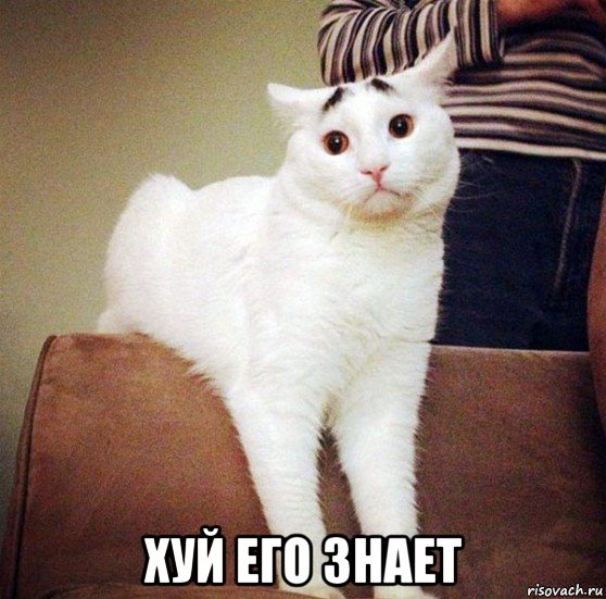  хуй его знает