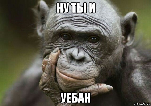 ну ты и уебан, Мем Обезьяна