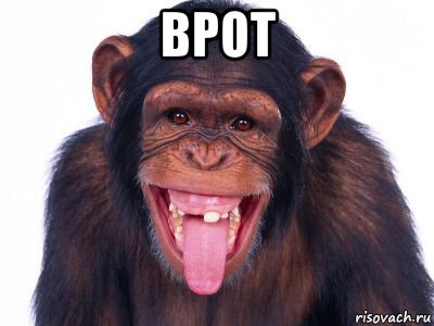 врот 