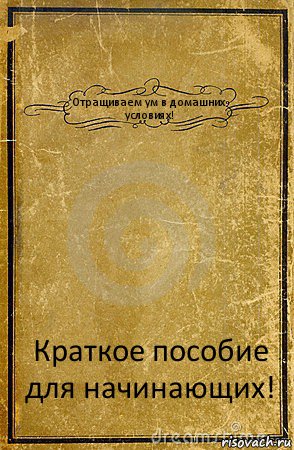 Отращиваем ум в домашних условиях! Краткое пособие для начинающих!, Комикс обложка книги