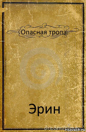 Опасная тропа Эрин, Комикс обложка книги