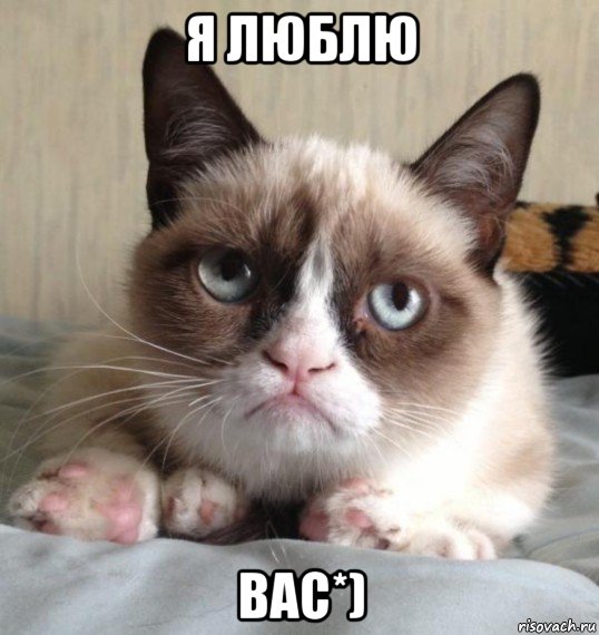 я люблю вас*), Мем однако иди на хуй