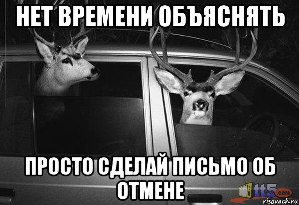 нет времени объяснять просто сделай письмо об отмене