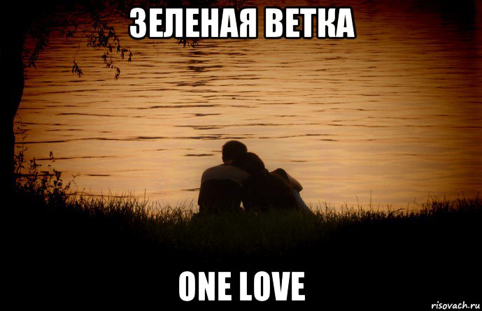 зеленая ветка one love, Мем one love