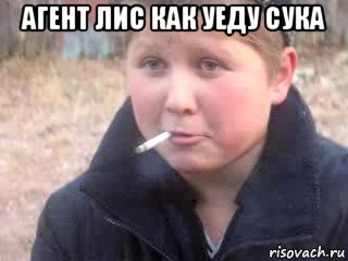 агент лис как уеду сука 