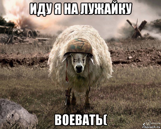 иду я на лужайку воевать(, Мем Овца