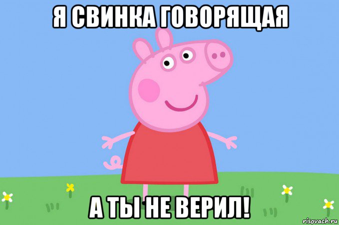 я свинка говорящая а ты не верил!, Мем Пеппа