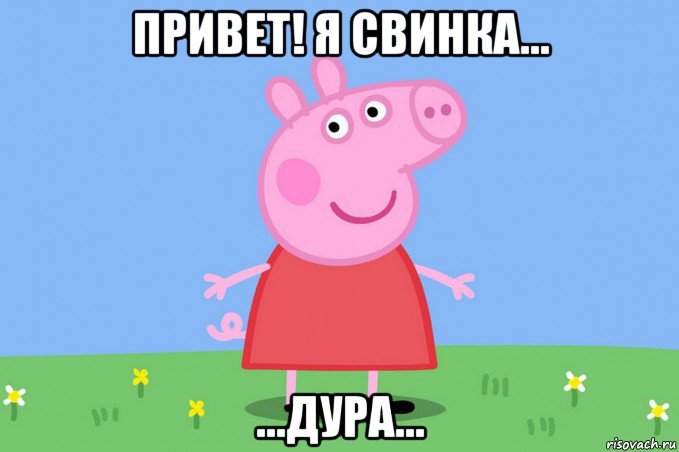 привет! я свинка... ...дура...