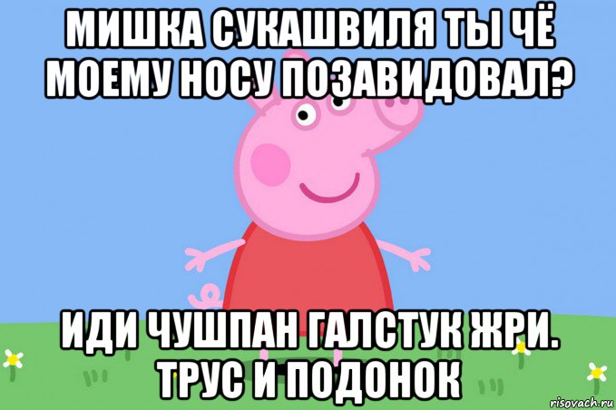 мишка сукашвиля ты чё моему носу позавидовал? иди чушпан галстук жри. трус и подонок, Мем Пеппа