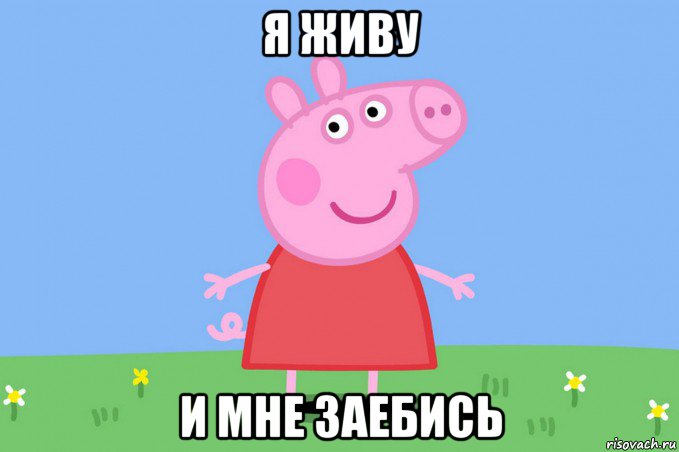 я живу и мне заебись