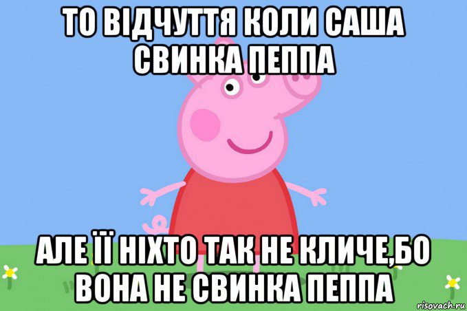 то відчуття коли саша свинка пеппа але її ніхто так не кличе,бо вона не свинка пеппа, Мем Пеппа