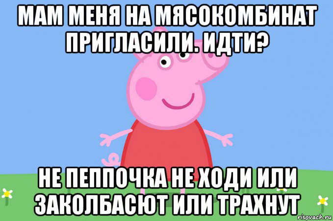 мам меня на мясокомбинат пригласили. идти? не пеппочка не ходи или заколбасют или трахнут