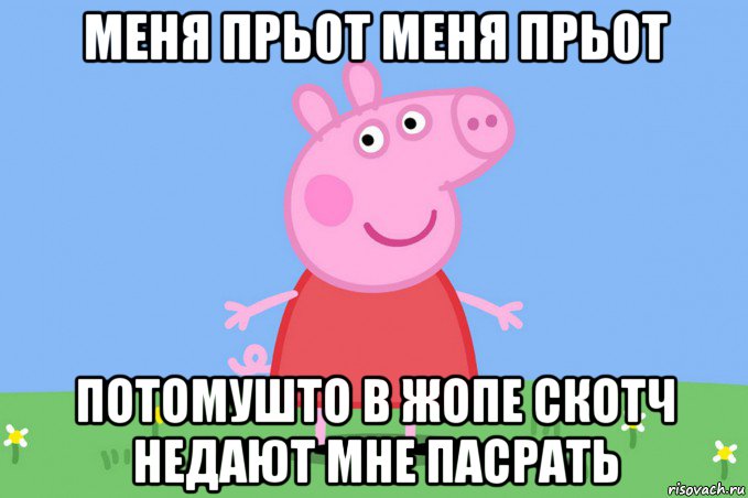 меня прьот меня прьот потомушто в жопе скотч недают мне пасрать, Мем Пеппа