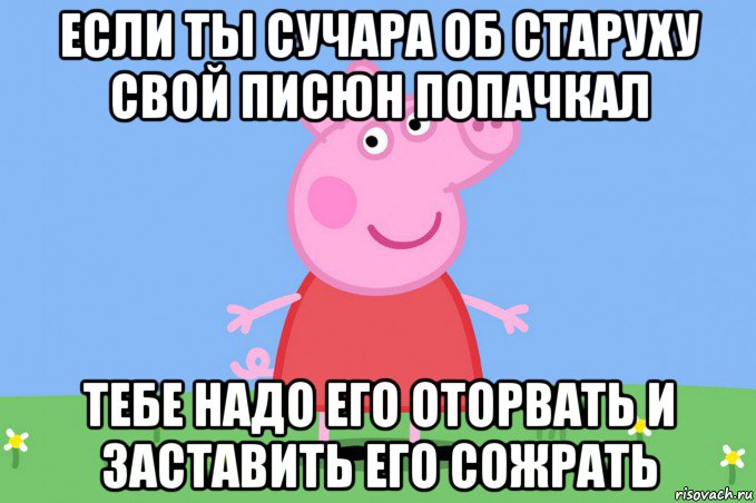 если ты сучара об старуху свой писюн попачкал тебе надо его оторвать и заставить его сожрать