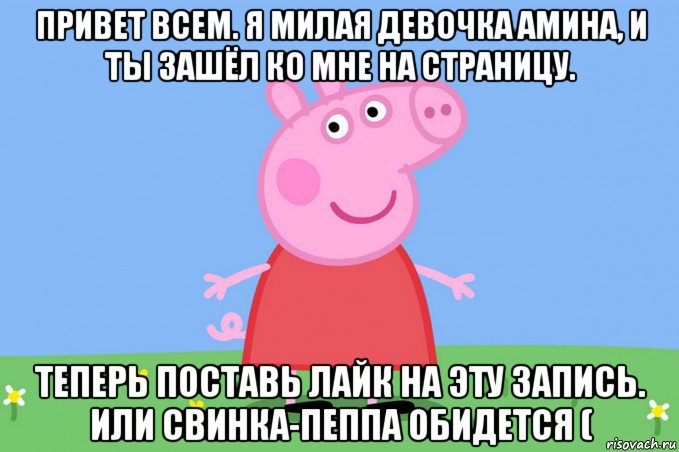 привет всем. я милая девочка амина, и ты зашёл ко мне на страницу. теперь поставь лайк на эту запись. или свинка-пеппа обидется (, Мем Пеппа