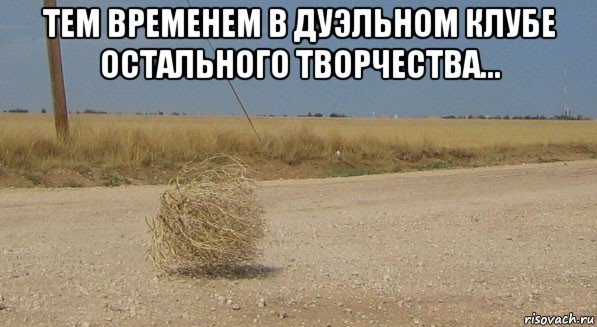 тем временем в дуэльном клубе остального творчества... , Мем перекати-поле одиночество