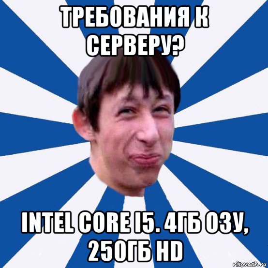 требования к серверу? intel core i5. 4гб озу, 250гб hd