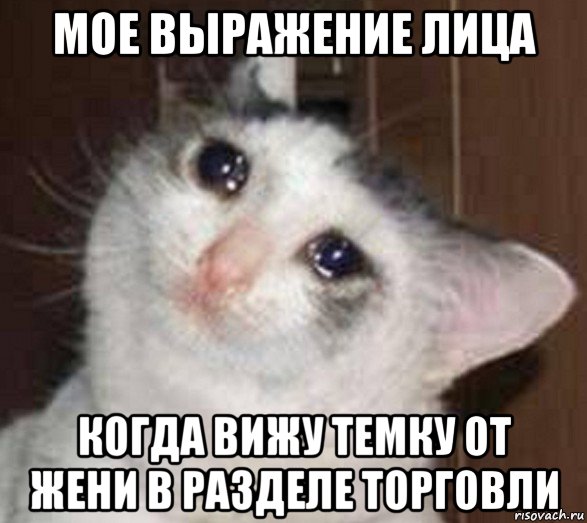 мое выражение лица когда вижу темку от жени в разделе торговли, Мем Плачущий котечка