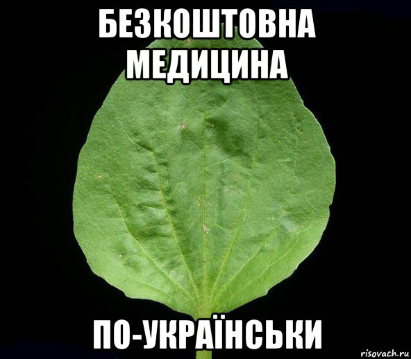 безкоштовна медицина по-українськи, Мем Подорожник